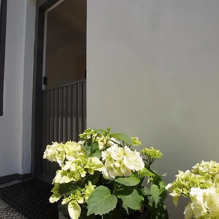 Ferienhaus Zomerhuis Aan Zee *