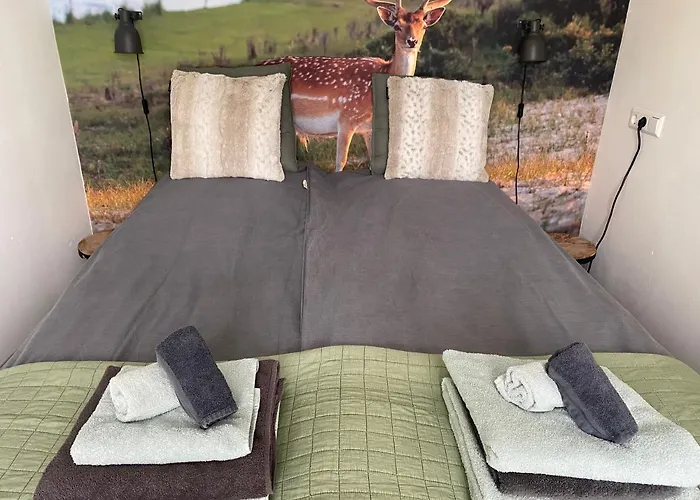 Vakantiehuis Zomerhuis Aan Zee Zandvoort