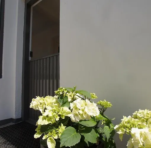 Vakantiehuis Zomerhuis Aan Zee *